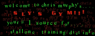 Welcome to Sly's Gym!